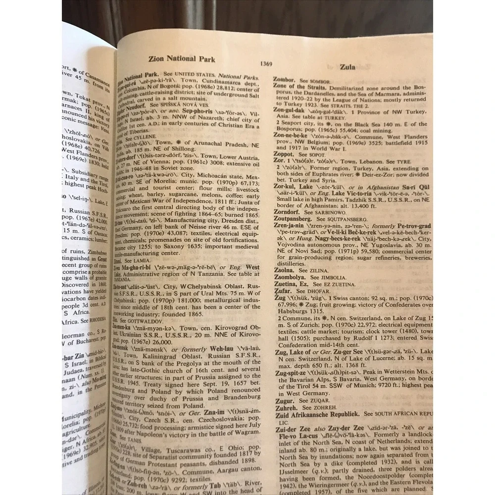 Websters New Geographical Dictionary A Merriam‎ Webster Vintage Book